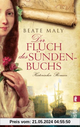 Der Fluch des Sündenbuchs: Historischer Roman