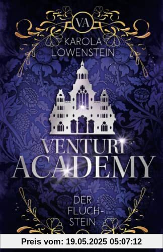 Der Fluchstein (Venturi Academy, Band 3)
