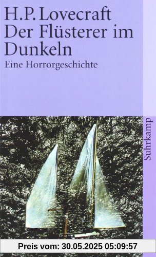 Der Flüsterer im Dunkeln: Eine Horrorgeschichte (suhrkamp taschenbuch)