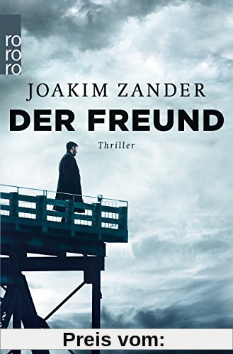 Der Freund (Klara Walldéen, Band 3)