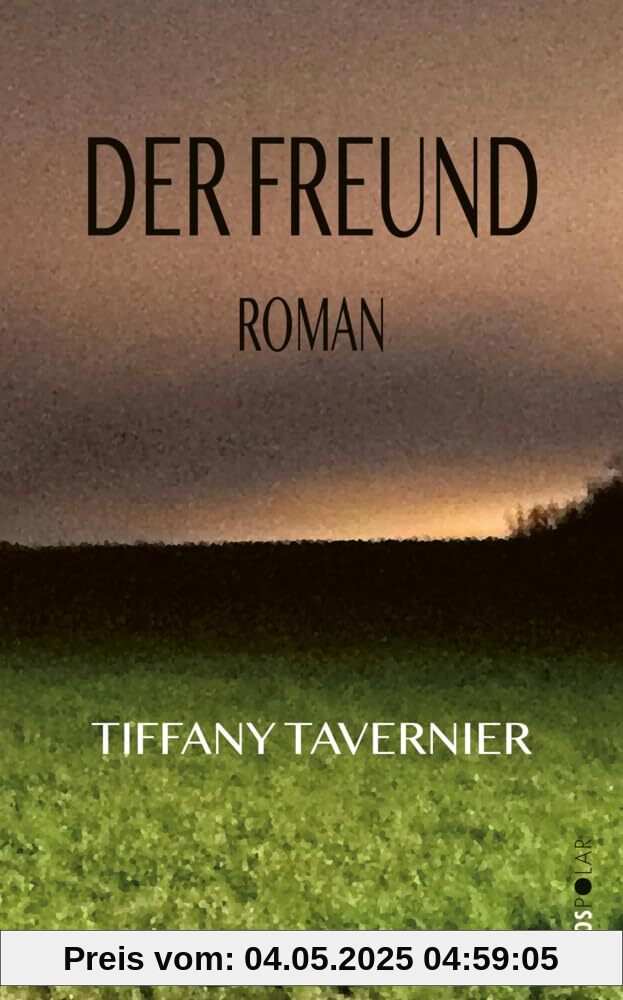 Der Freund: Roman (Lenos Polar)