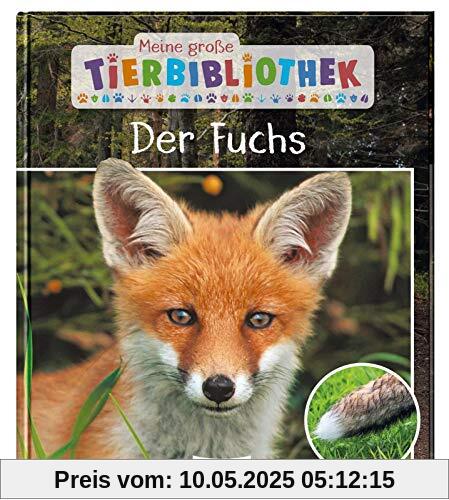 Der Fuchs (Meine große Tierbibliothek)