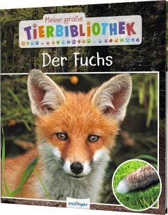 Der Fuchs / Meine große Tierbibliothek Bd.16 von Esslinger in der Thienemann-Esslinger Verlag GmbH