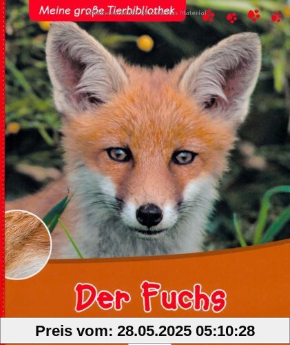 Der Fuchs