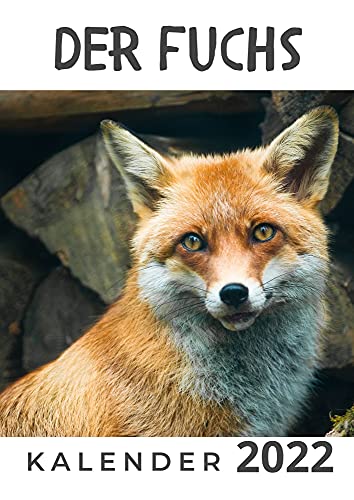 Der Fuchs: Kalender 2022 von 27 Amigos