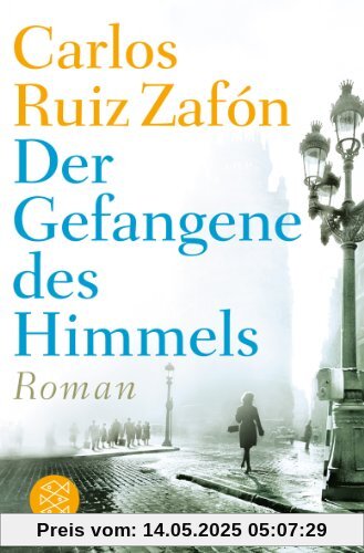 Der Gefangene des Himmels: Roman