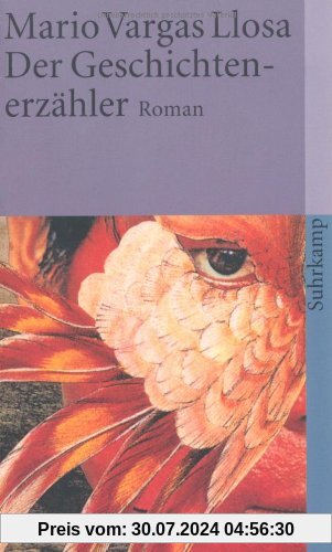 Der Geschichtenerzähler: Roman (suhrkamp taschenbuch)