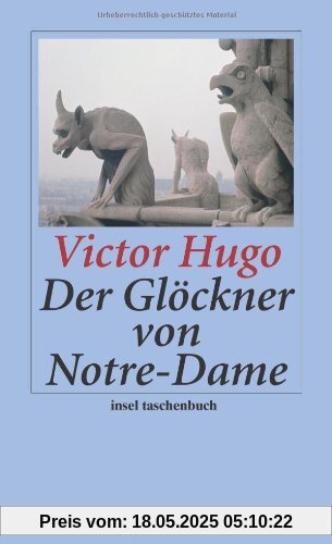 Der Glöckner von Notre-Dame (insel taschenbuch)