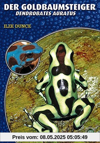 Der Goldbaumsteiger: Dendrobates auratus