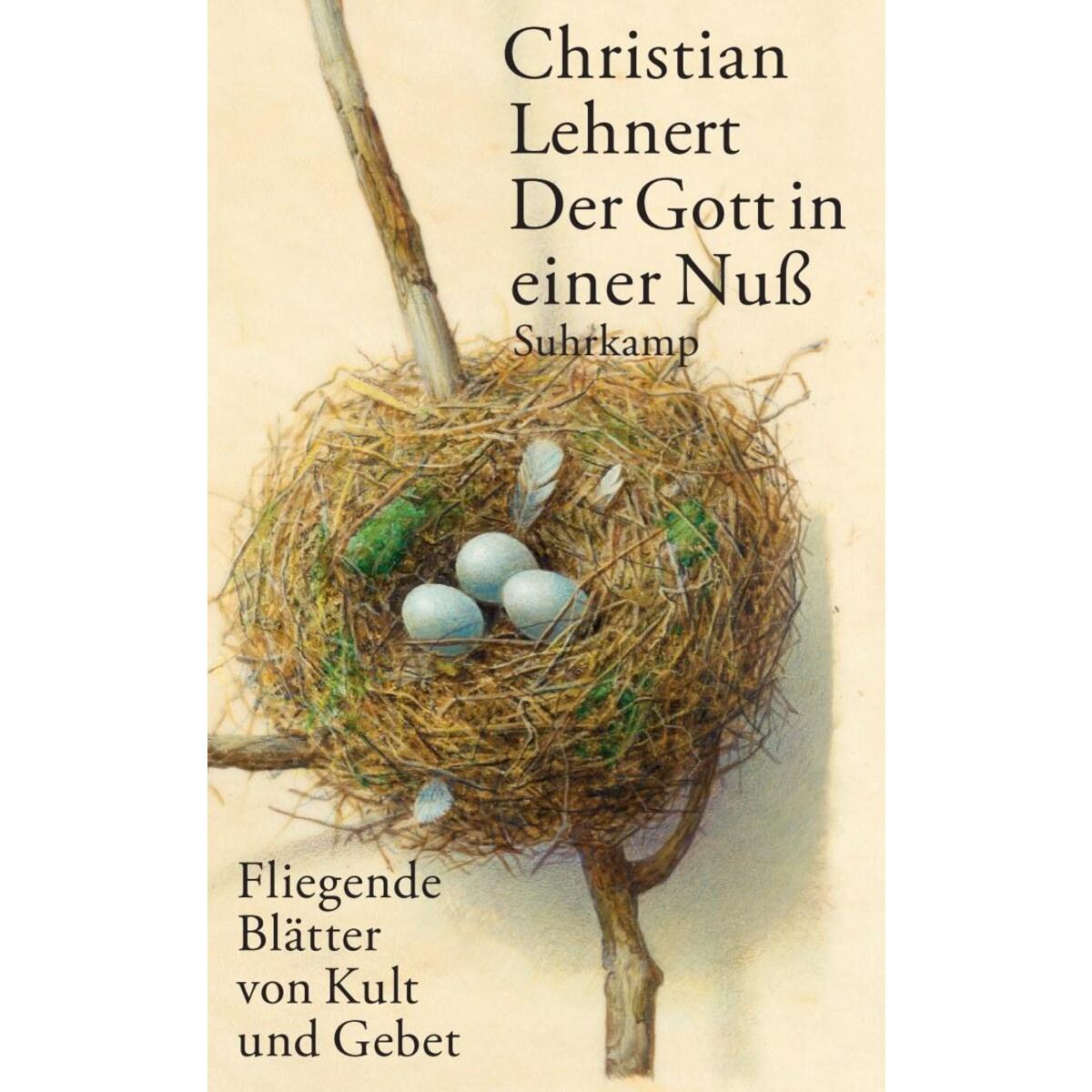 Der Gott in einer Nuß Der Gott in einer Nuß von Suhrkamp Verlag