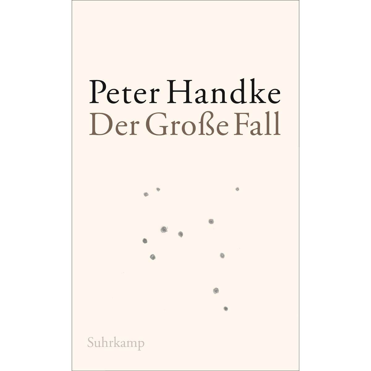 Der Große Fall Der Große Fall von Suhrkamp Verlag