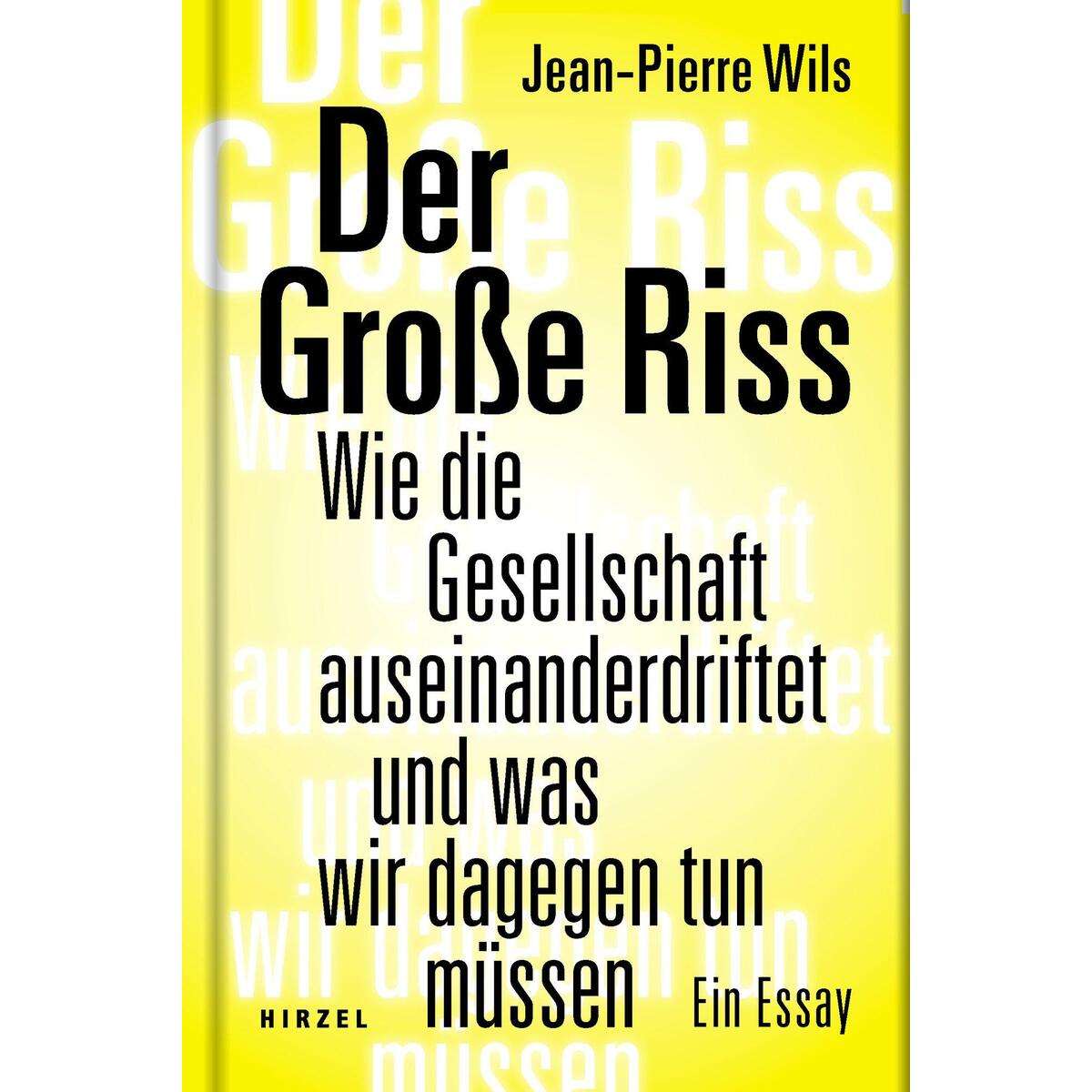 Der Große Riss Der Große Riss von Hirzel S. Verlag