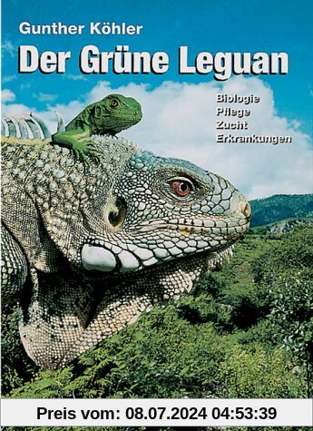 Der Grüne Leguan. Biologie Pflege Zucht Erkrankungen.