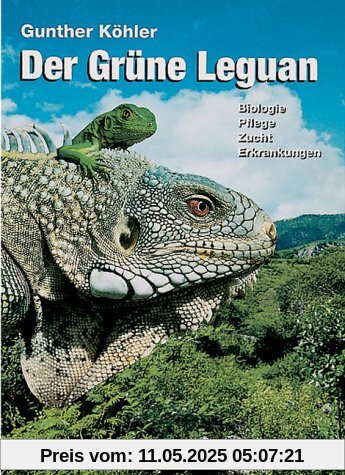 Der Grüne Leguan. Biologie Pflege Zucht Erkrankungen.