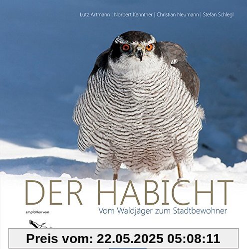 Der Habicht - Vom Waldjäger zum Stadtbewohner