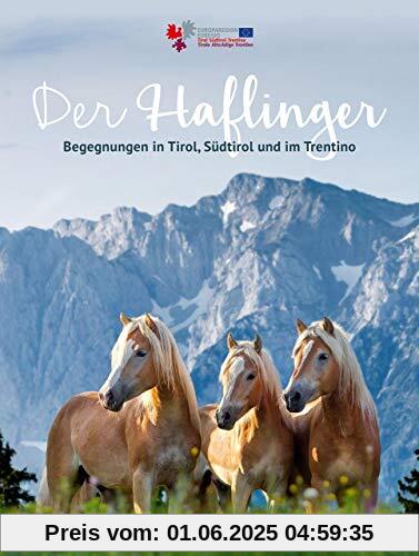 Der Haflinger: Begegnungen in Tirol, Südtirol und im Trentino