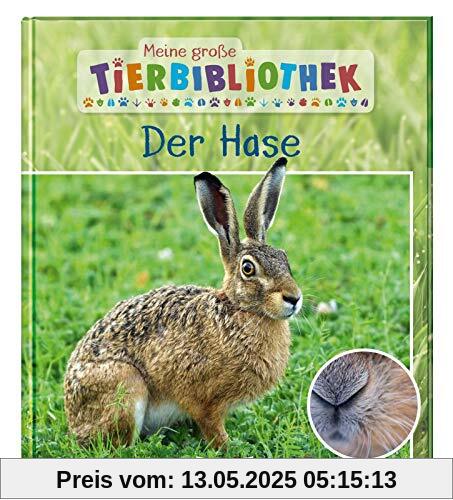 Der Hase (Meine große Tierbibliothek)