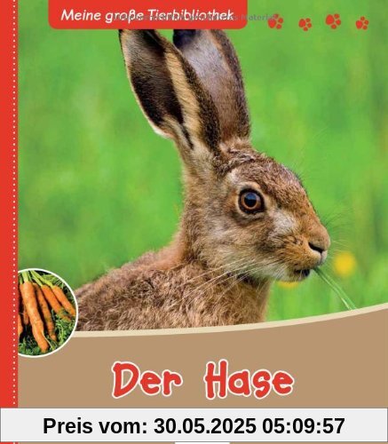 Der Hase