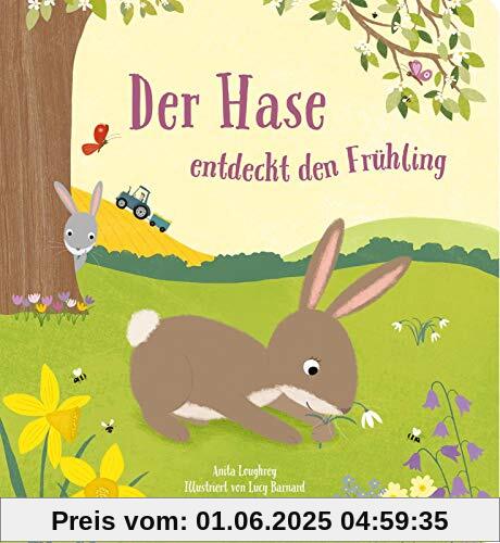 Der Hase entdeckt den Frühling