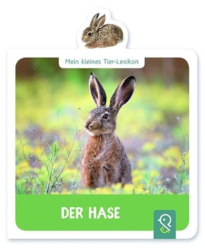 Der Hase: Mein kleines Tier-Lexikon
