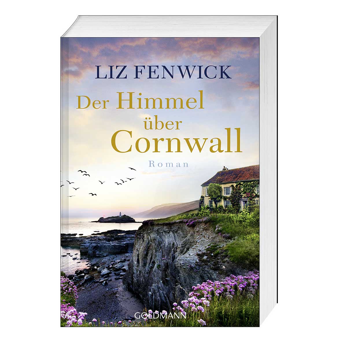 Der Himmel über Cornwall von Goldmann TB