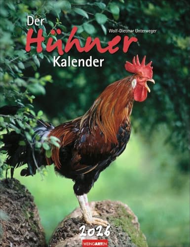 Der Hühnerkalender 2026: Wandkalender 2026 mit Hühnerfotos des bekannten Naturfotografen Wolf-Dietmar Unterweger. Tier-Kalender 2026 mit idyllischem Bauernhofflair. (Tierkalender Weingarten) von Weingarten