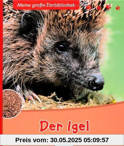 Der Igel