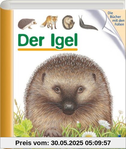 Der Igel