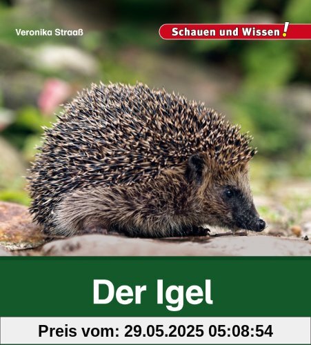 Der Igel: Schauen und Wissen!