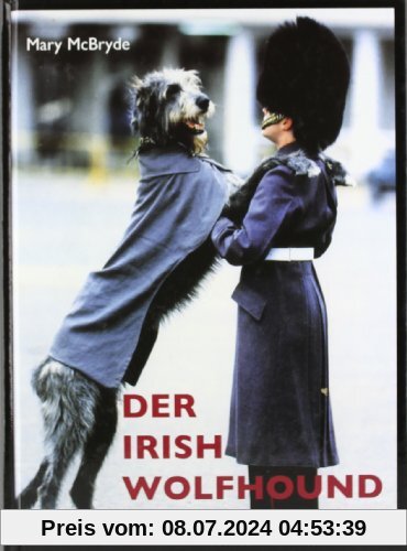 Der Irish Wolfhound