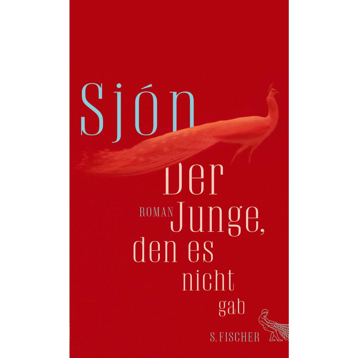 Der Junge, den es nicht gab von FISCHER, S.