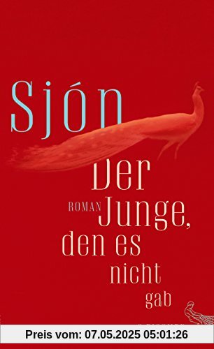 Der Junge, den es nicht gab: Roman