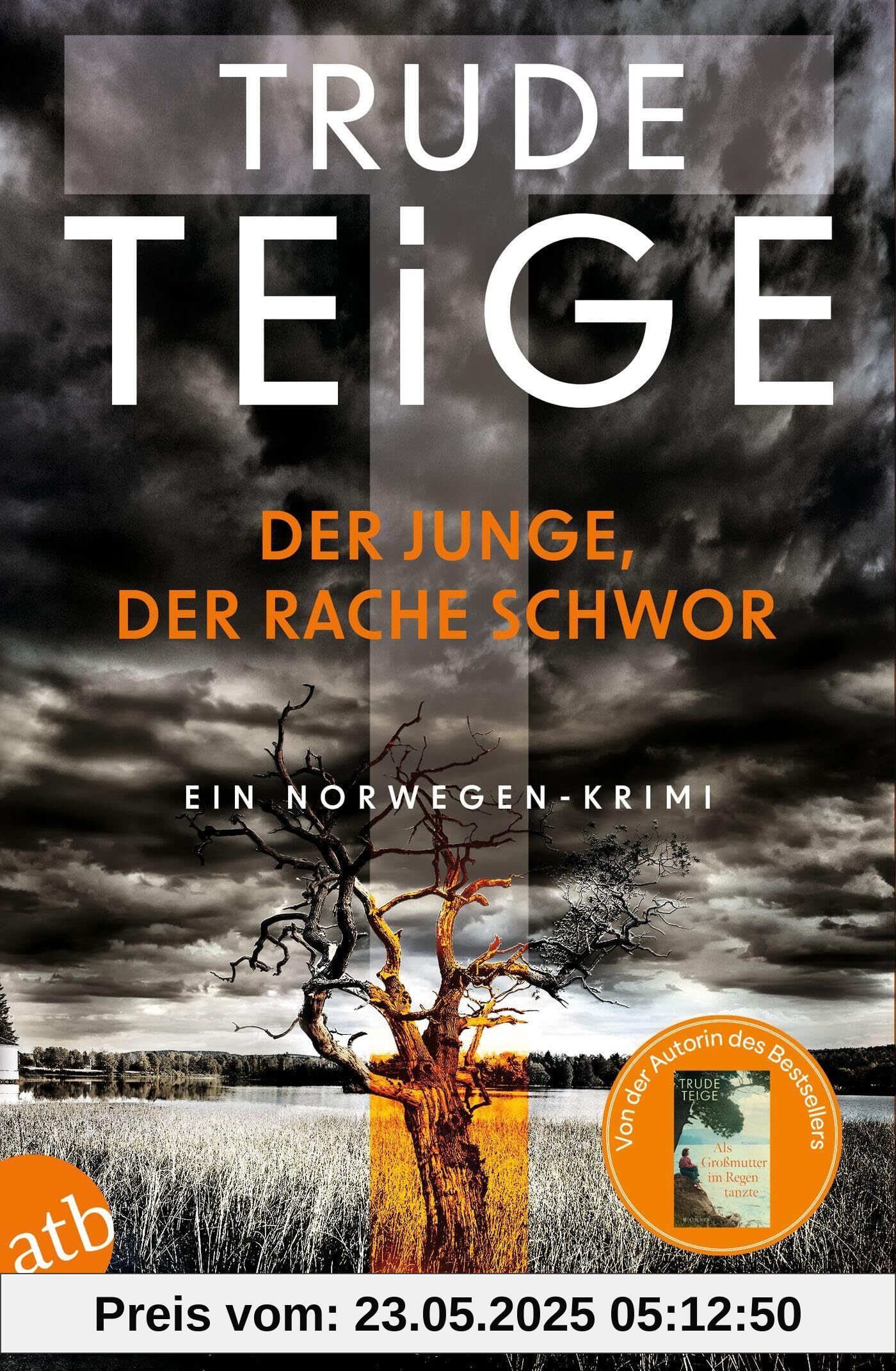 Der Junge, der Rache schwor: Ein Norwegen-Krimi (Kajsa Coren, Band 1)