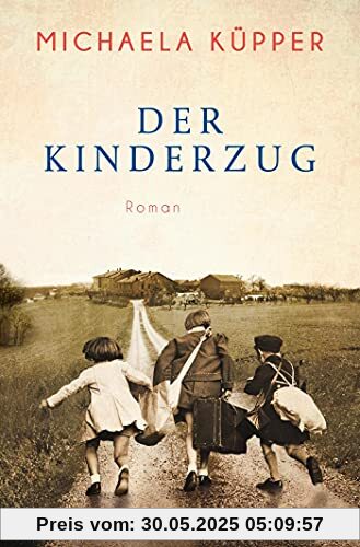 Der Kinderzug: Roman