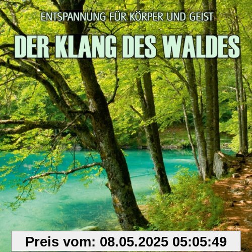 Der Klang des Waldes - Naturklang der Singvögel (ohne Musik) Entspannung für Körper und Geist