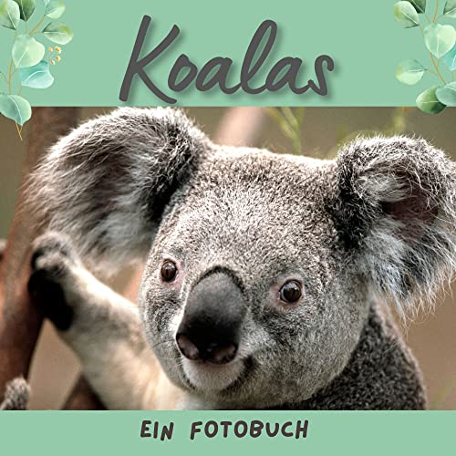 Der Koala: Ein Fotobuch. Der Bildband für Kinder & Erwachsene zu Weihnachten oder als Geschenk