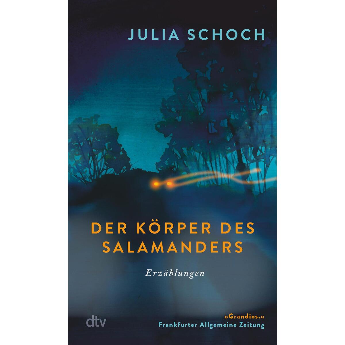 Der Körper des Salamanders Der Körper des Salamanders von dtv Verlagsgesellschaft