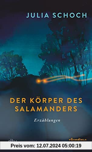 Der Körper des Salamanders: Erzählungen | Überarbeitete und erweiterte Neuausgabe von Julia Schochs »grandiosem Debüt« (FAZ)