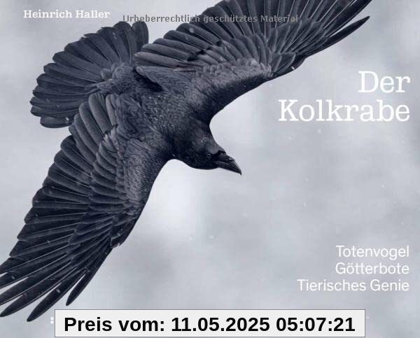 Der Kolkrabe – Totenvogel, Götterbote, tierisches Genie