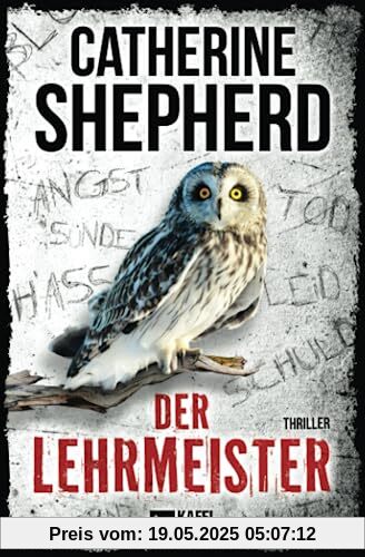 Der Lehrmeister: Thriller