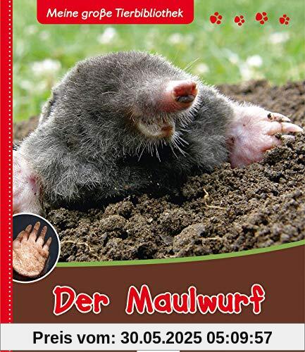 Der Maulwurf - Meine große Tierbibliothek