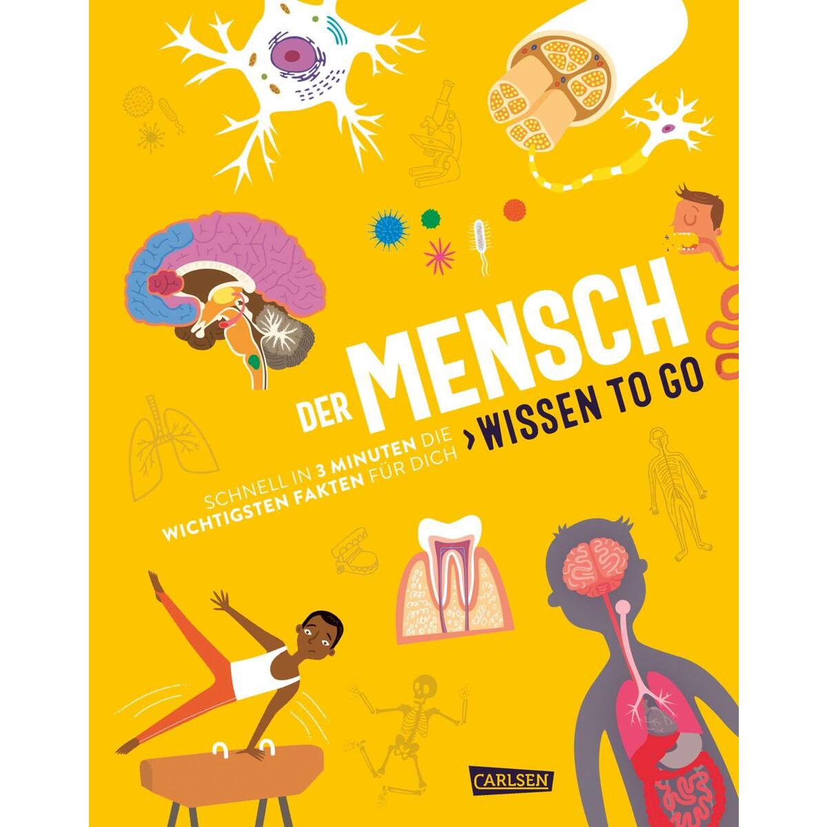 Der Mensch - Wissen to go von Carlsen Verlag GmbH