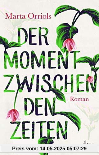 Der Moment zwischen den Zeiten: Roman