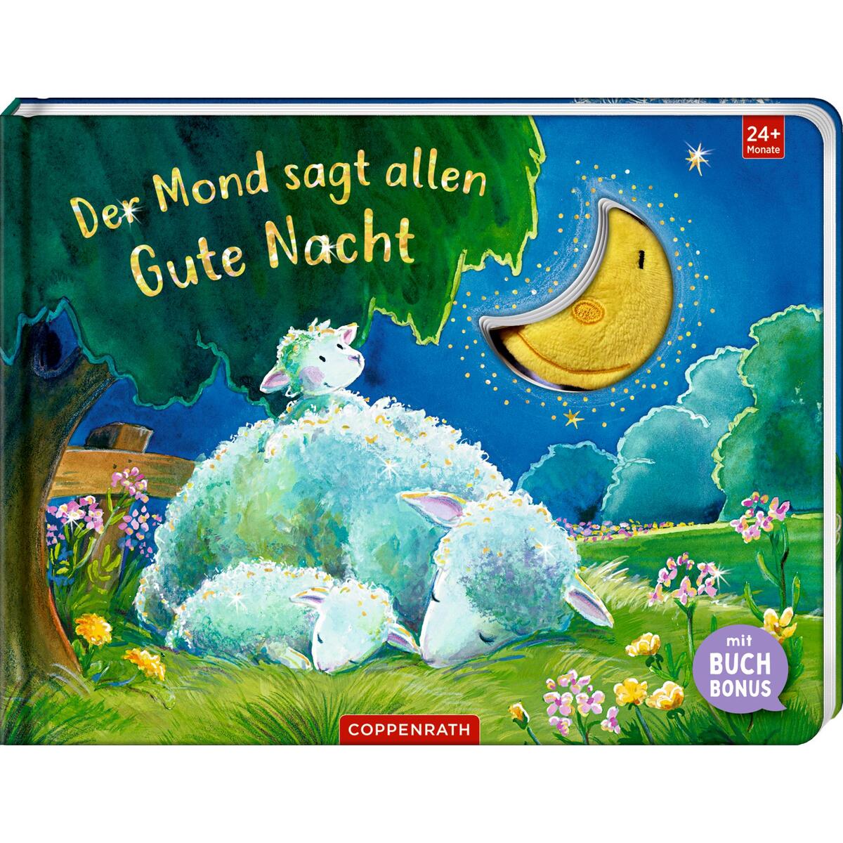 Der Mond sagt allen Gute Nacht von Coppenrath