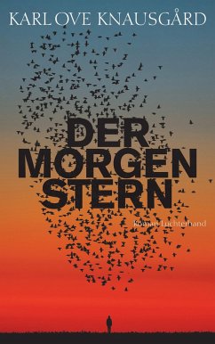 Der Morgenstern / Der Morgenstern-Zyklus Bd.1 von Luchterhand Literaturverlag
