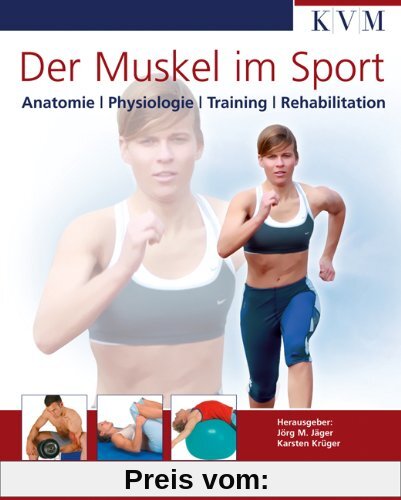 Der Muskel im Sport: Anatomie, Physiologie, Training, Rehabilitation
