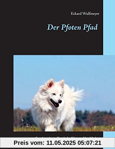 Der Pfoten Pfad: Fernab moderner Trends den Weg zum Hund finden
