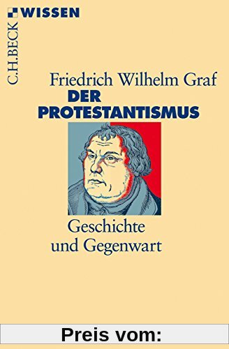 Der Protestantismus: Geschichte und Gegenwart (Beck'sche Reihe)