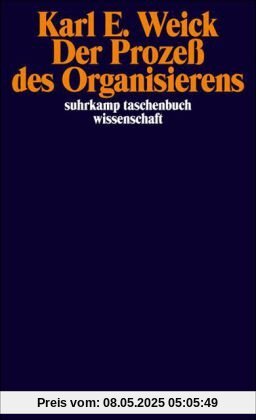 Der Prozeß des Organisierens (suhrkamp taschenbuch wissenschaft)