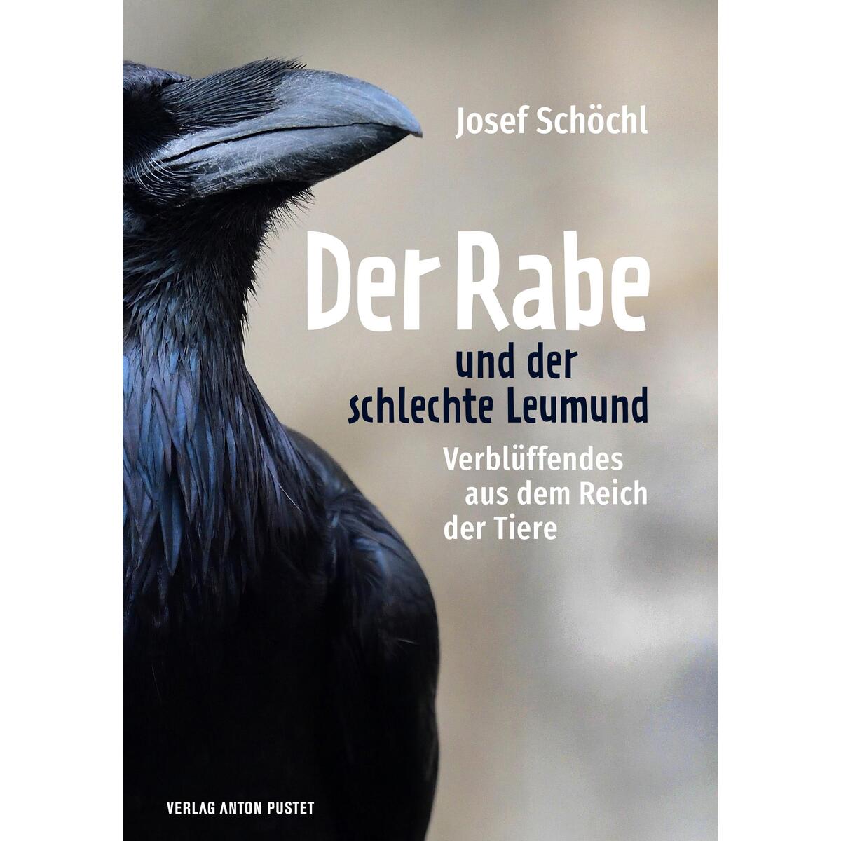 Der Rabe und der schlechte Leumund Der Rabe und der schlechte Leumund von Pustet Anton